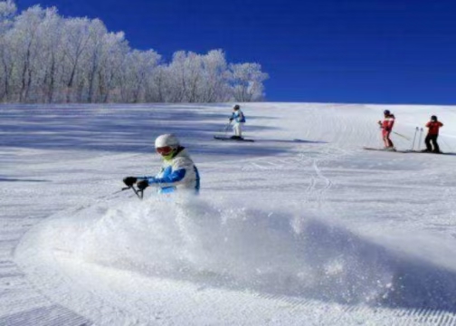 ����Ժ�칫�������Ա�ѩ�˶�����������������ѩ���û������������