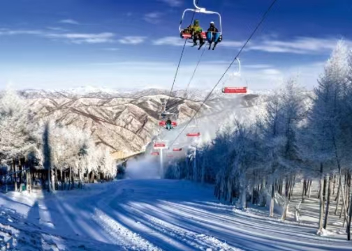 ����Ժ�칫��ӡ�������ڽ�һ���������������ʢ�Ļ����������ĵ����ɲ�����<br>���������ʵ���ѩ�����������롱