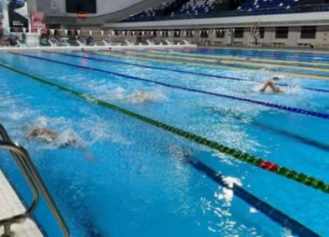 ���ͺ�����������