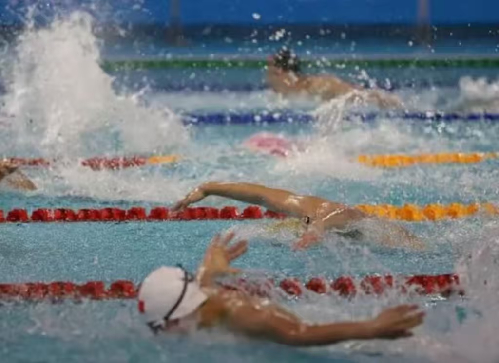 ����ʡ��Ӿ�ھ�������Ӿ���ֲ�����