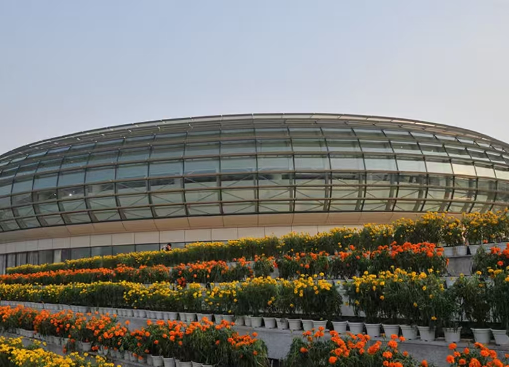 �����人������ѧ������